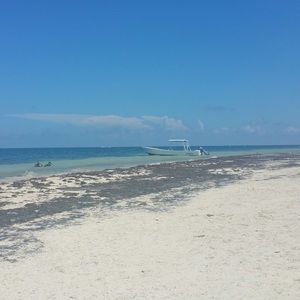 Meet your Posher, Elena